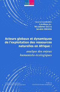  Acteurs globaux et dynamiques de l’exploitation des ressources naturelles en Afrique :  analyse des enjeux humanisto-écologiques 